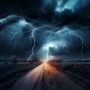 Music Uplift、Cat Harmony、Cats Music Zone - Cat's Meow in Monsoon