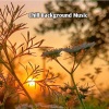 Pandora Journey - Chill Dreamy & Soft Lofi