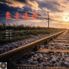 钱卫 - 要去远方