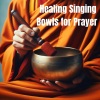 Tibetan Prayers《Nepalese Temple Tranquility》[MP3/LRC]