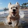 El proyecto de la naturaleza、Agua Mantra、Zona de terapia canina - Serenidad Con Amigos Peludos