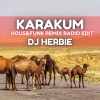 DJ Herbie - Karakum (Hous&Funk Remix radio edit)