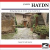 Caspar Da Salo Quartet - Haydn String Quartet #51 In G major, op. 64, No. 4, H 366 - Allegro con brio
