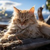 Zona de sonidos pacíficos、En el océano (efectos de sonido)、Música calmante para gatos - Armonía De Marea Por Las Olas Felinas