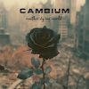 Cambium《Another Dying World》[MP3/LRC]