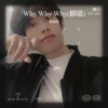 陈伟鸿 - Why Why Why