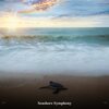 Ocean Waves、ohm waves、Calm Ocean Sounds - Saltwater Symphony