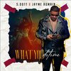 S Dott、Jayme Romain - What You Do To Me (feat. Jayme Romain)