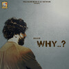 Ivaan - Why