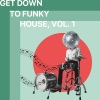Modfunk - Love & Hate (Phunkmasters Remix)