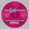 distant people、Sulene Fleming - What Kind Of Love? (Col Lawton Remix)