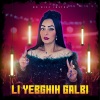 No Disc Instru、Cheba Warda - Li Yebghih Galbi