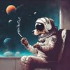 Punyapat Fungtammasarn、Wladislaw Kalinowsky、Gabriel Sucea - Why not (feat. Punyapat Fungtammasarn & Wladislaw Kalinowsky)