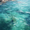 Ruidos calmantes、Colección de sonidos del océano、Trabajar desde Casa Playlist - Ecos De La Fuga De La Jornada De Trabajo En La Orilla Del Mar