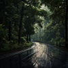 The Relaxation Hub、Music For Pets、Infinite Field - Pets' Rain Peace