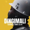 Blackman Gentleman2.0、zakwe、DJ TPZ、Zee Zuluboy - Dingimali (feat. Zakwe, Dj Tpz & Zee Zuluboy)