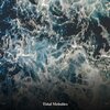 Ocean Waves、ohm waves、Calm Ocean Sounds - Underwater Symphony
