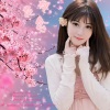 若瑜、烟圈蔓延、玉梅君 - 樱花念