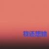 林俊杰 - 我还想她 (zyy变速版)