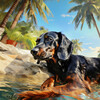 Quimera、Olas Glaciares、Música para perritos - Melodías Oceánicas Para Perros Felices