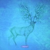 Bruno Messner - Elision