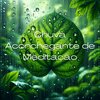 Relaxantes Natureza Zona - Serenidade nas Gotas da Chuva