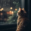 Naturaleza del norte、Sonidos de lluvia pesada、Gatos somnolientos - Vibras De Salón Con Armonía De La Lluvia
