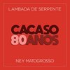 ney matogrosso - Lambada de Serpente