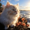Jardín del tiempo、Ambiente de agua、Zona de música de gatos - Himno De Gatos En La Laguna