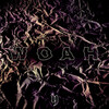 Y2 - Woah