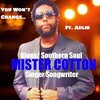 Mister Cotton、Adlib - You Won't Change (feat. Adlib)