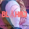Nya Boy、ALPHA BOTTOM - Blahaj