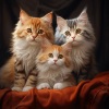 Sleepy Cats、Nature Waterfalls、Heal Your Soul - Cats' Serene Moments by the River