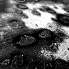 brokenfishtiarra - Glimpse