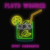 FLOYD WONDER - spicy margarita