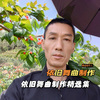 依旧舞曲制作2 - 水兵舞-你给的伤总在夜里作痛-赵洋【依旧制作】