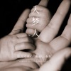 炸酱面zzang - 入梦人