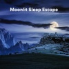 New Age Instrumental Music、Plant Music、Cleanse & Heal - Meditation in the City of Dreams (Relaxing Music)