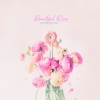 Chris Brook - Beautiful Rose