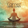 Zen Ambiance D'eau Calme - Musique pour le corps et l'esprit