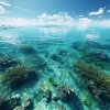 Relax with Waves、Natures Orchestra、Calming Beats - Ocean's Embrace of Calm