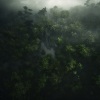 Cats Music Zone、Nature Sound Collection、Niigata - Feline's Rainy Refuge