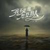 王一佳《我不是他想娶的人》[MP3/LRC]