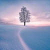 放松音乐馆 - 冬日的雪 纯音乐