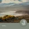 Sine Wave - Luminescent