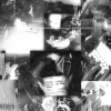 Prexcher、YOUN LANCCA - Catnip (feat. Youn Lancca)(Explicit)