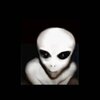 MANODIMARTE062 - Alien Trap (Explicit)
