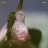Luis Leon、Unseener - Zukunft