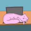 Murr、Chill Kitten - On The Other Side