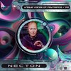 Necton - There Ain't No Answers